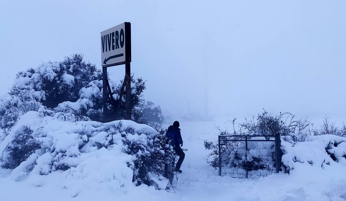 Una brutal nevada en Segovia dificulta la conducción 1