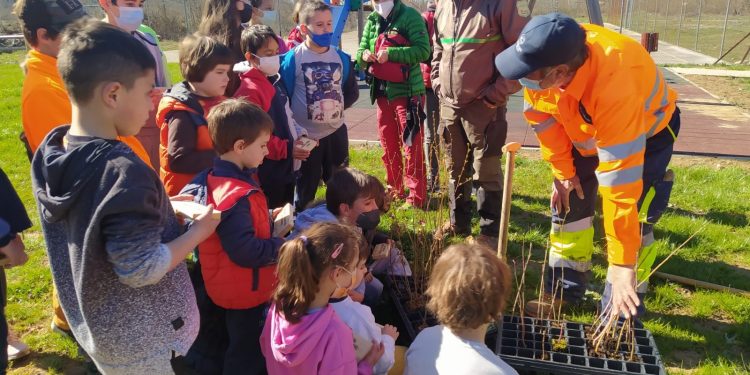 Reforestar en el cole