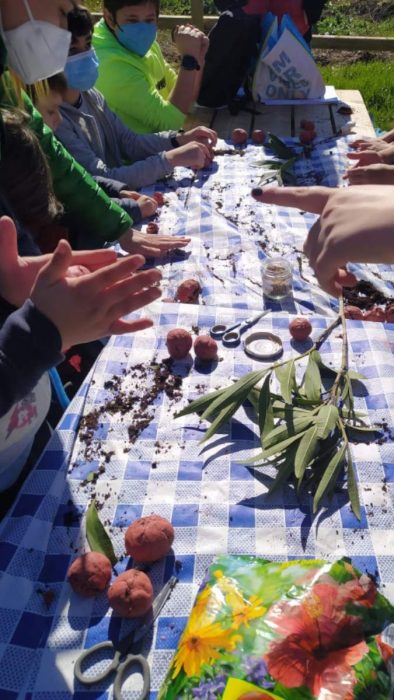 Alumnos aprenden a reforestar