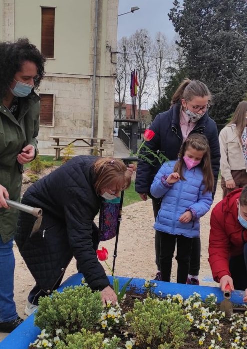 León planta tulipanes por el día Mundial del Parkinson 1