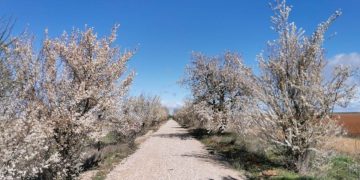 11 kilómetros de Vía Verde en el Esla