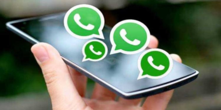 Las encuestas en WhatsApp serán una realidad - Digital de León