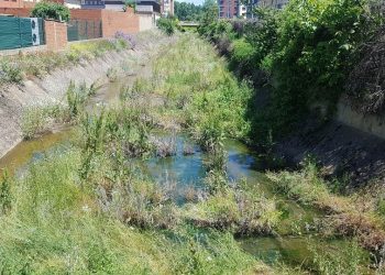 Las aguas fecales inundan El arroyo Carbosillo