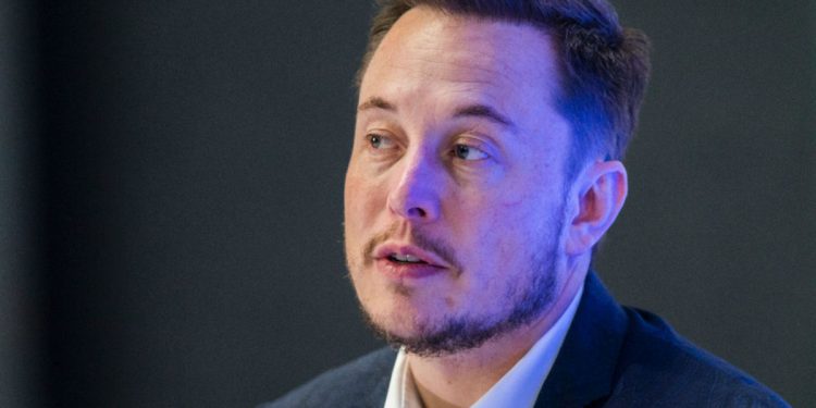 Musk paraliza la compra de Twitter por las cuentas falsa - Digital de León