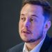 Musk paraliza la compra de Twitter por las cuentas falsa - Digital de León