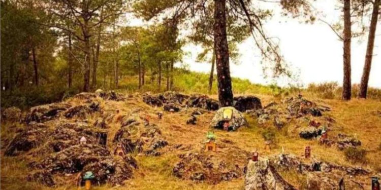 El bosque mágico de Alija atrae a las familias