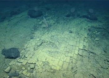 Localizan un "camino de baldosas amarillas" a 600 metros de profundidad