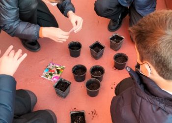 Los alumnos del colegio Divina Pastora aprenden con el Huerto Escolar