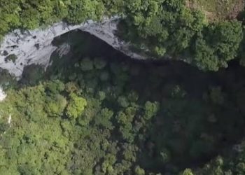 Bosque subterráneo en una dolina