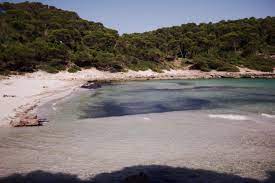 Estas son las mejores playas de España 3
