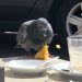 El desayuno de las palomas de León - Digital de León