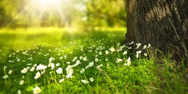 El verano adelantado de mayo durante 10 días más - Digital de León