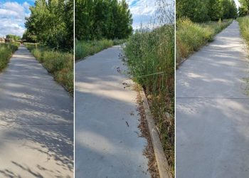 Total dejadez en el carril bici del río Bernesga