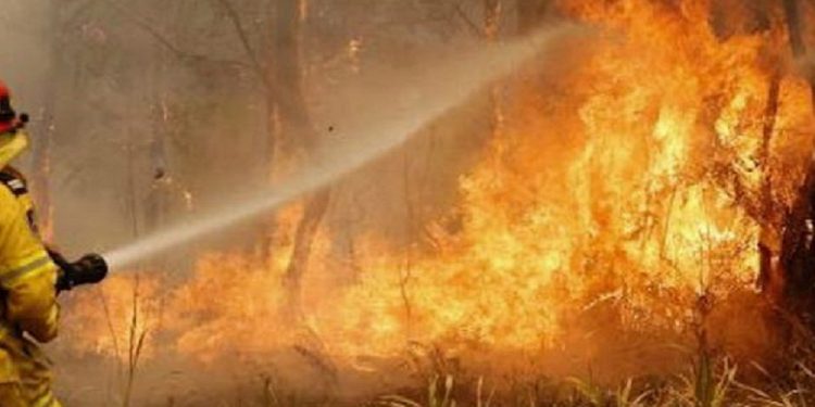 800 aspirantes a bomberos