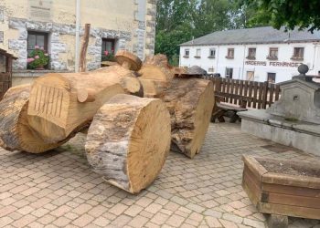 Un tractor gigante de madera llega a Lario