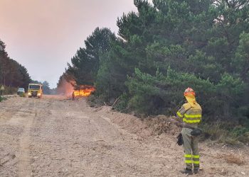 Seis pueblos evacuados en el incendio de Zamora
