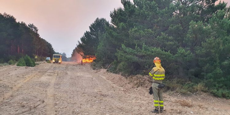 Seis pueblos evacuados en el incendio de Zamora