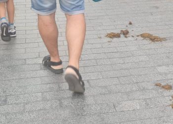 Excrementos de caballo en la calle Ancha