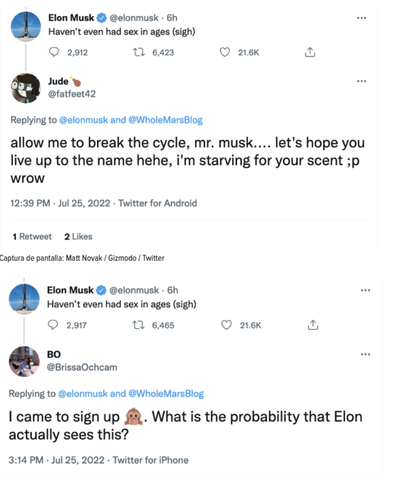 Toda la gente que le propone relaciones a Elon Musk en Twitter 2