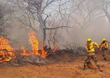 incendios forestales