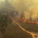 Extinguido el incendio del Puente de Domingo Flórez 1