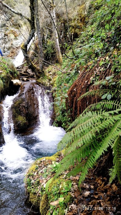 Preciosa ruta "medicinal" para realizar este verano en León 2