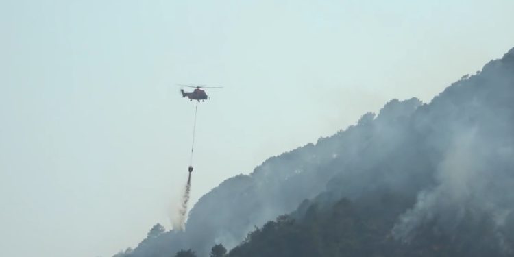 incendios forestales