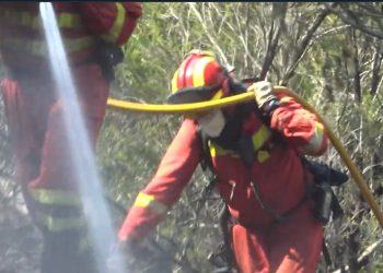 incendios forestales