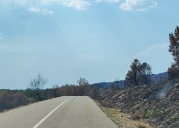 Vida Sierra de la Culebra