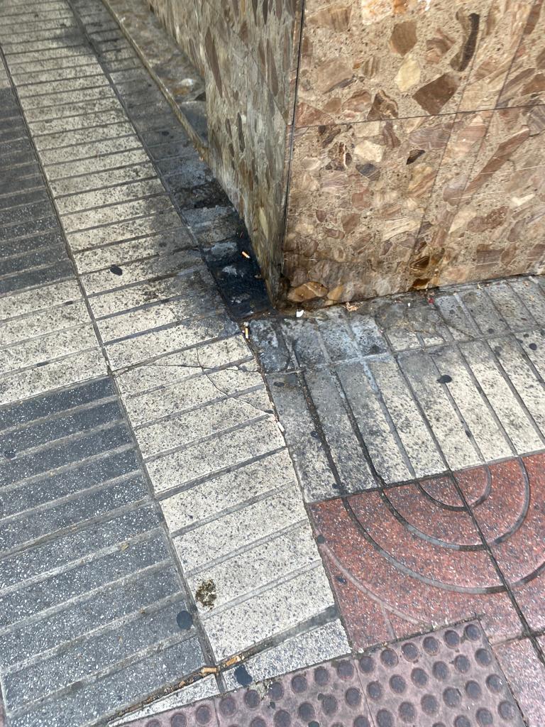 Enfado por la suciedad extrema en las calles de León 5