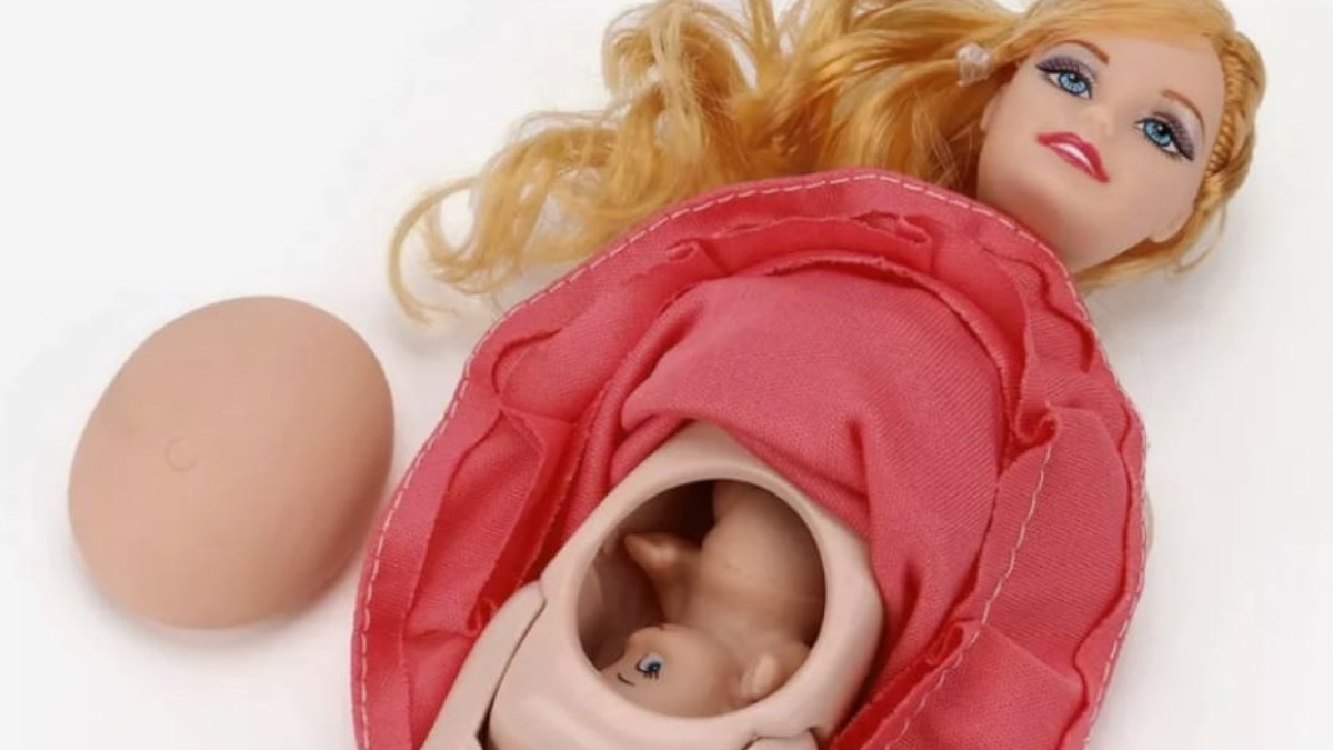 La Barbie china embarazada que lo peta