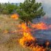 incendios forestales