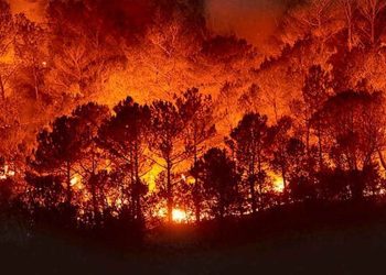 ferrocarril provoca un incendio