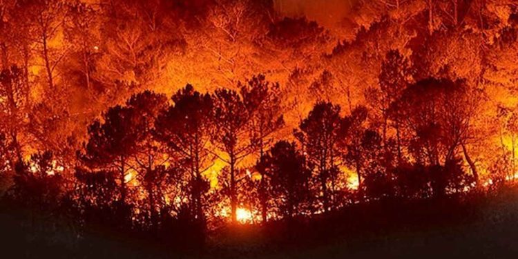 ferrocarril provoca un incendio