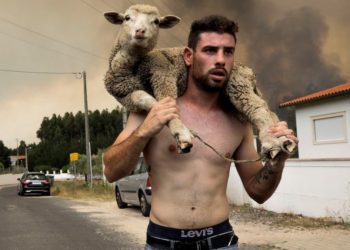 Esta erótica foto de los incendios de Portugal se ha hecho viral