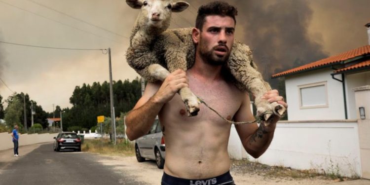 Esta erótica foto de los incendios de Portugal se ha hecho viral