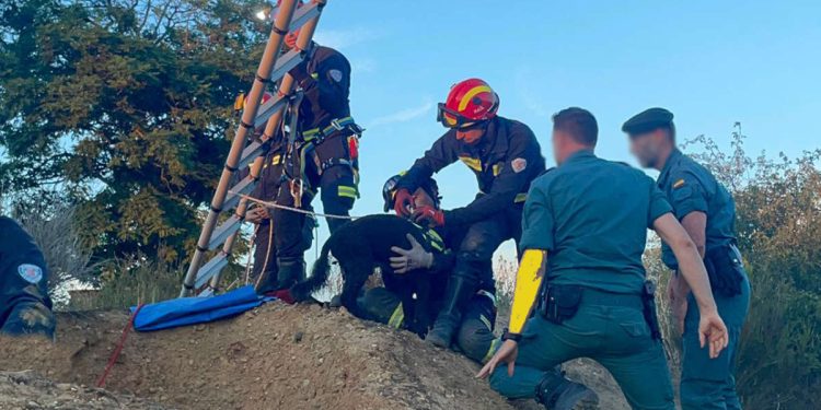 Rescate de un perro