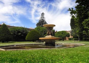 perros en el parque del cid