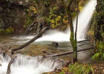 Preciosa ruta "medicinal" para realizar este verano en León 2