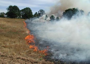 Detenido el presunto autor del incendio de Burgos