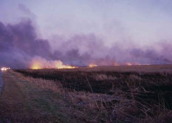 incendios forestales