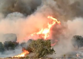 incendios forestales