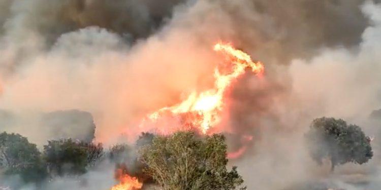 Incendios forestales en Castilla y León el 05-08-2022