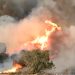 Incendios forestales en Castilla y León el 05-08-2022