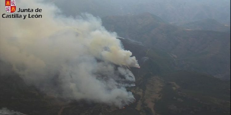 Han ardido 1.000 hectáreas