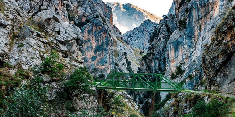 Rescate en plena montaña de un senderista en Cabrales 1