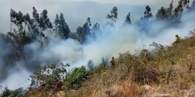 incendios forestales