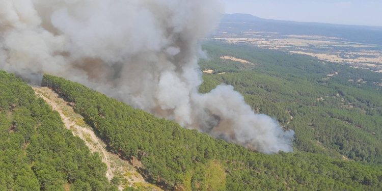 incendios forestales