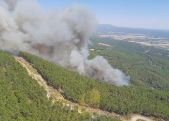 incendios forestales