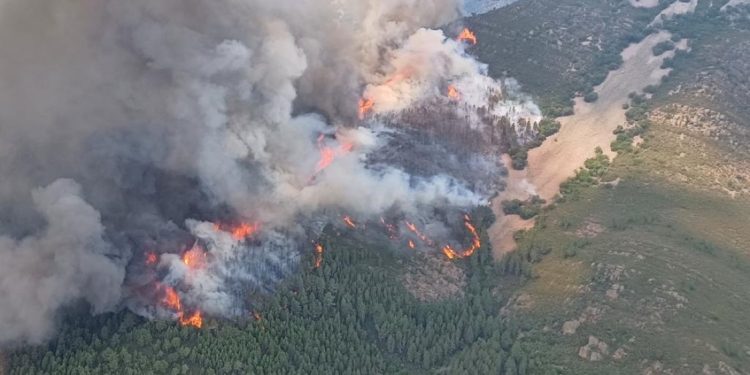 incendios forestales